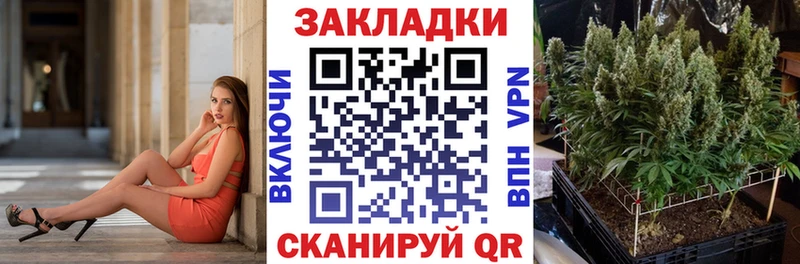 Где купить наркоту Шахунья Alpha PVP  Меф  Каннабис 