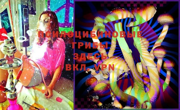 герыч Куйбышев