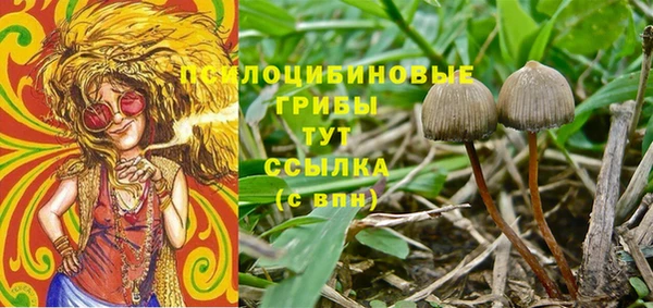 герыч Куйбышев